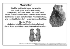 Murmeltier-SW.pdf